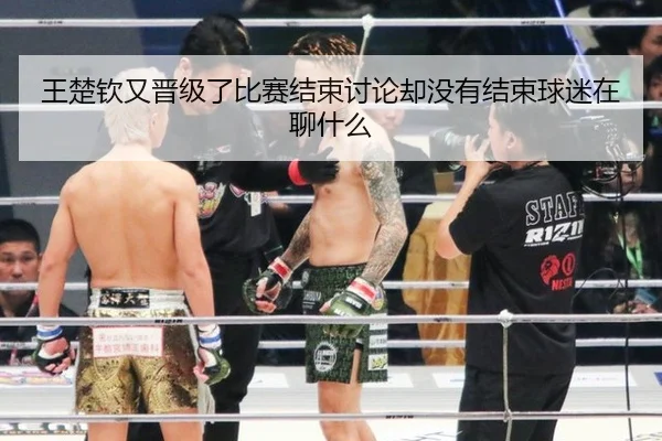 王楚钦又晋级了比赛结束讨论却没有结束球迷在聊什么